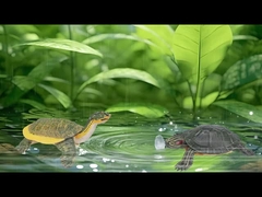 Figuras de animales marinos